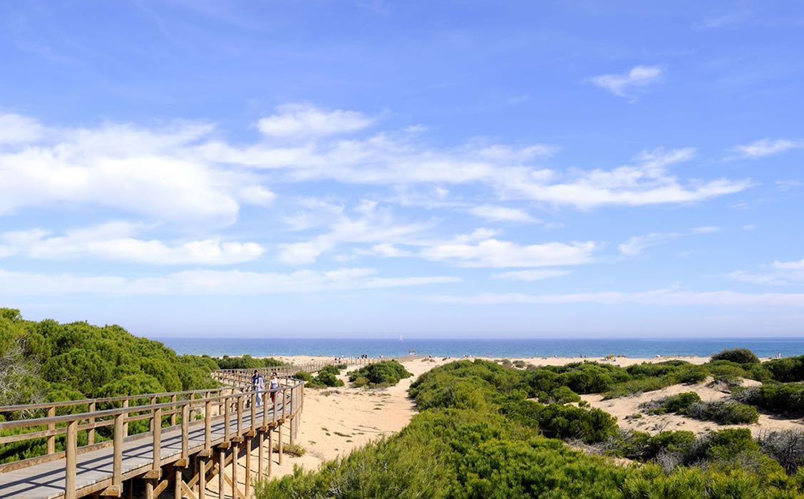 Wooden walkway over dunes leading to Playa del Carabassi with clear turquoise water